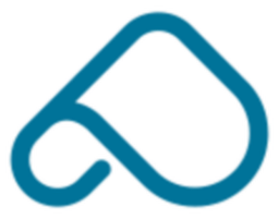 Peak Ace logo